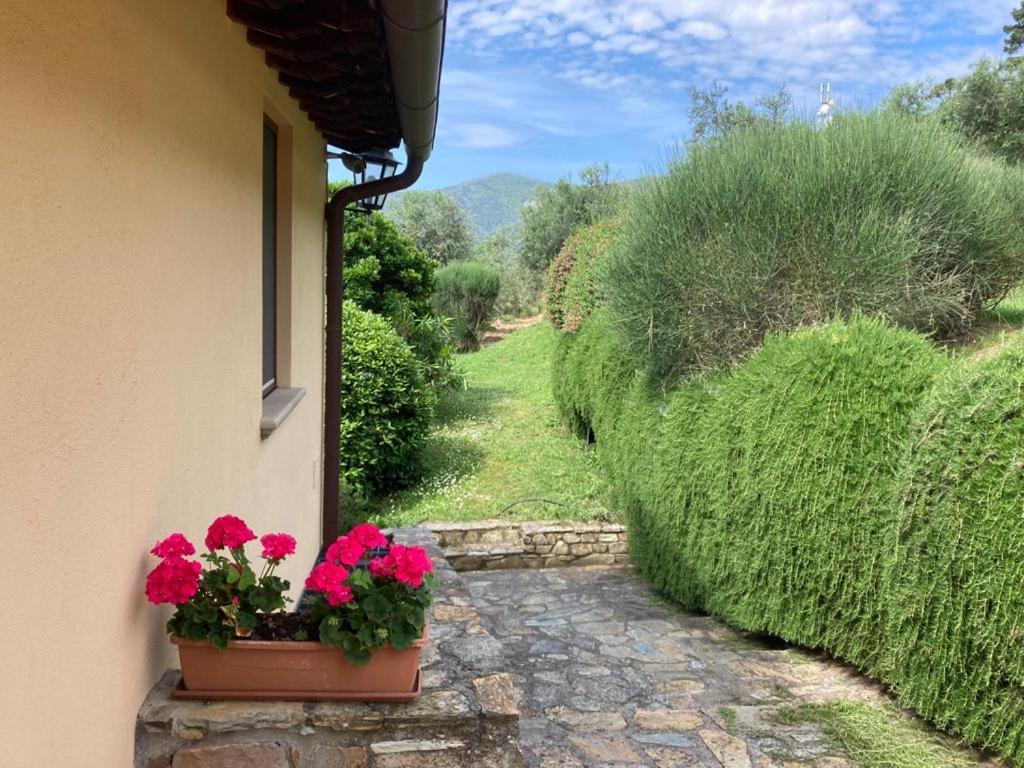 Agriturismo Cima Alla Serra Buti Exteriör bild