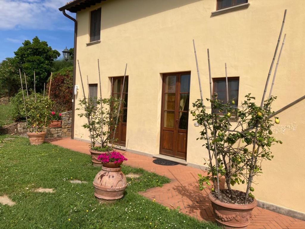 Agriturismo Cima Alla Serra Buti Exteriör bild